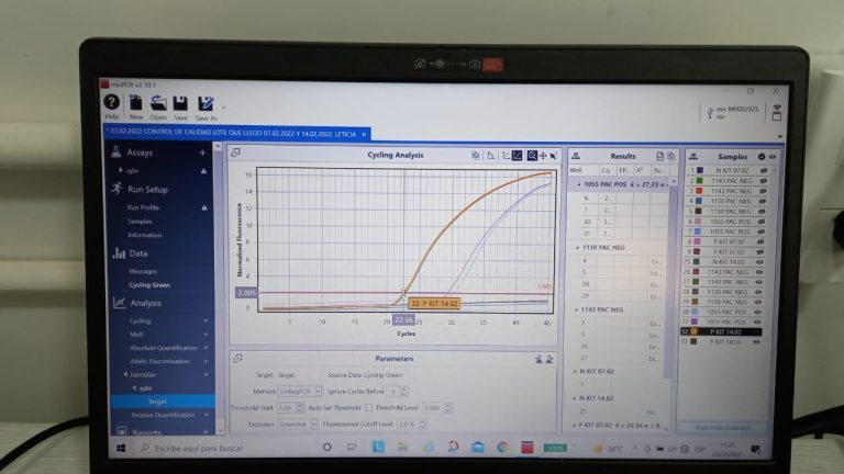 whatsapp image 2026 02 14 at 12.31.16